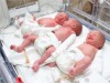 У квітні ужгородці називали новонароджених Даріями, Еміліями, Полінами, Романами, Іванами та Максимами